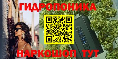 трава Пенза