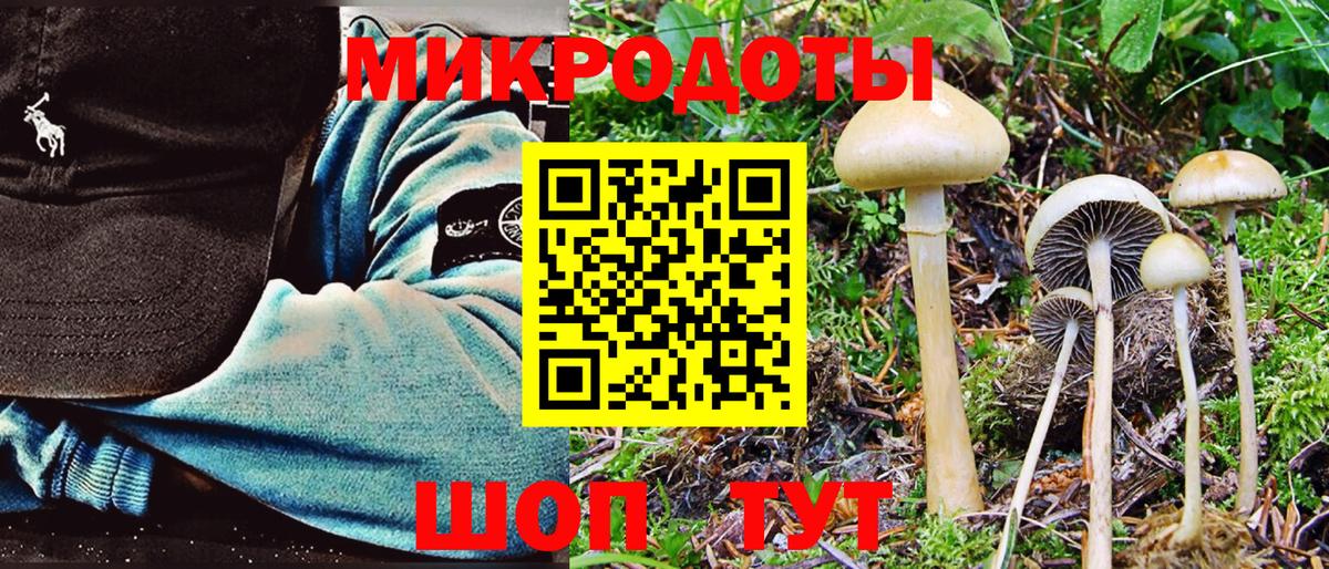 Галлюциногенные грибы прущие грибы  Вход с VPN  Галлюциногенные грибы прущие грибы  Оренбург 